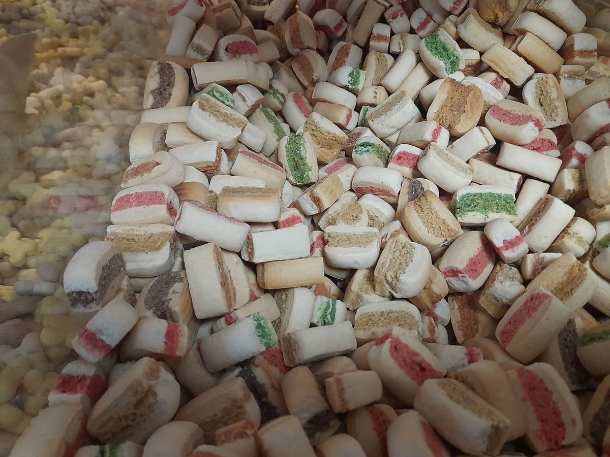 Friandises Boutique Servidog Nemours