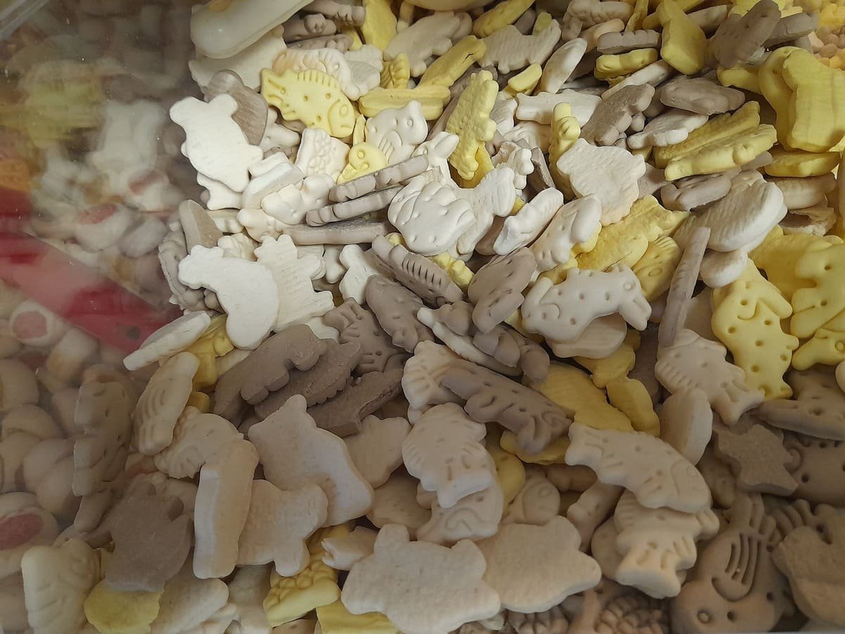 Friandises Boutique Servidog Nemours