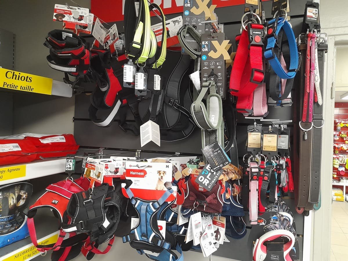 Friandises Boutique Servidog Nemours