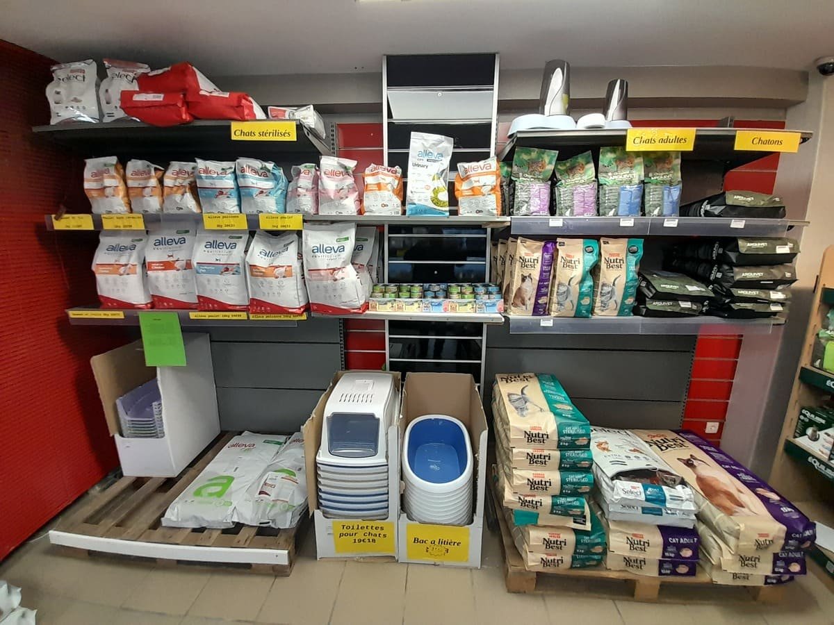 Boutique Servidog Nemours