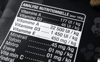 Vitamines et minéraux essentiels dans l’alimentation du chien : ce que l’étiquette ne dit pas toujours